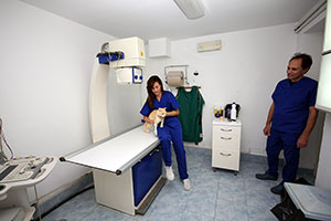 Clinica Veterinaria Montalto