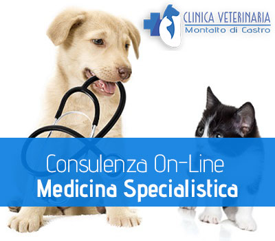 medicina_specialistica.jpg
