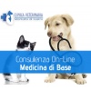 consulenza_base