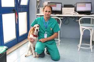 Clinica Veterinaria Montalto