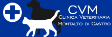 Clinica Veterinaria Montalto